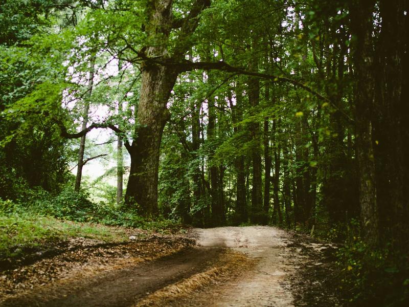 android screenshot 1